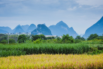 广东揭阳的天气如何